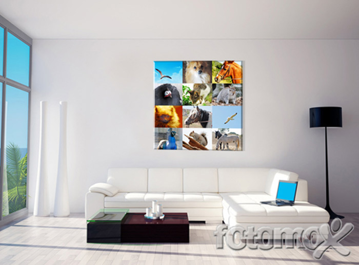 Crea la tua tela collage per contenere tutte le tue foto in quadro