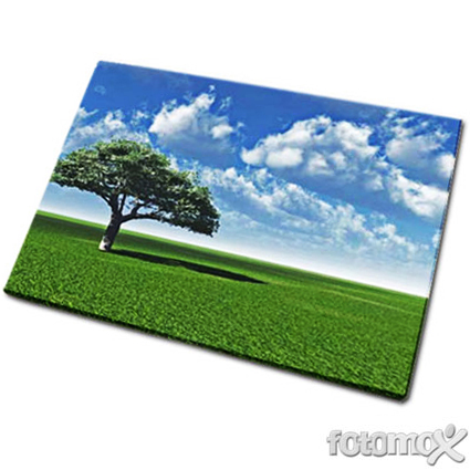 Stampa le tue foto su tela canvas o pittorica 