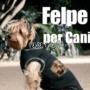 Felpa personalizzata con foto per cani